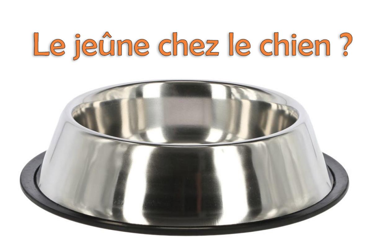 Le jeûne et le Cane Corso