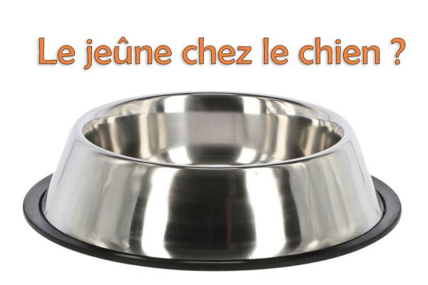 Le jeûne et le Cane Corso