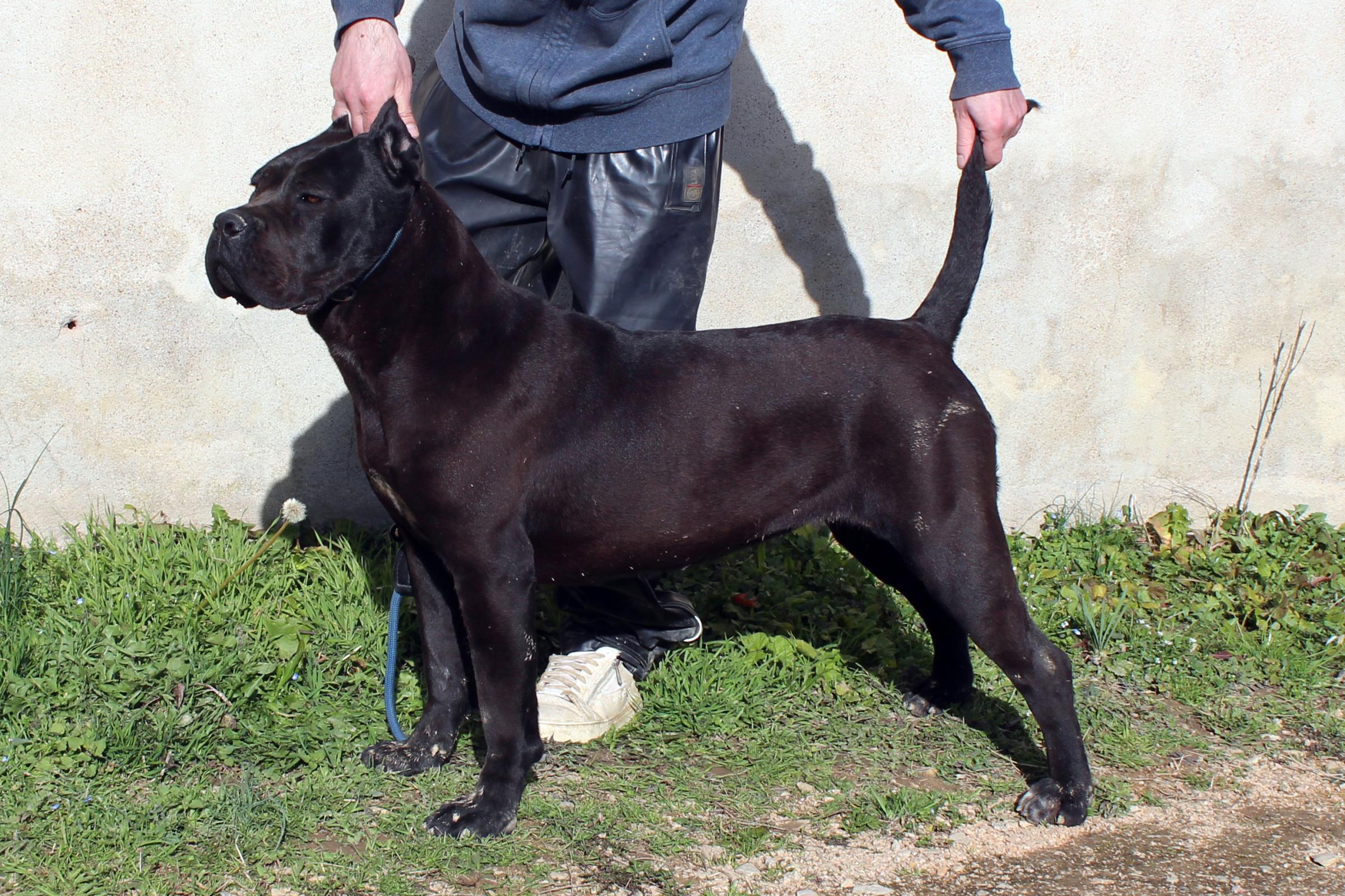 Portrait de Sydi